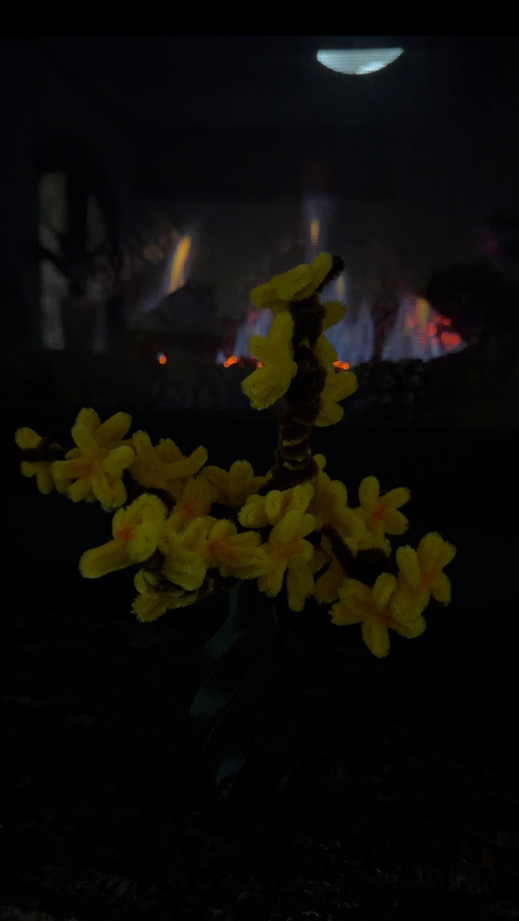 SunBloom Bonsai