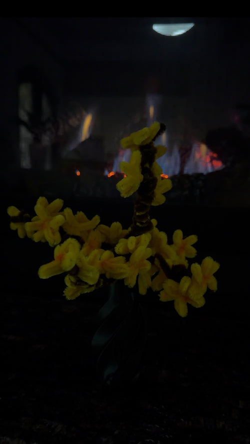 SunBloom Bonsai
