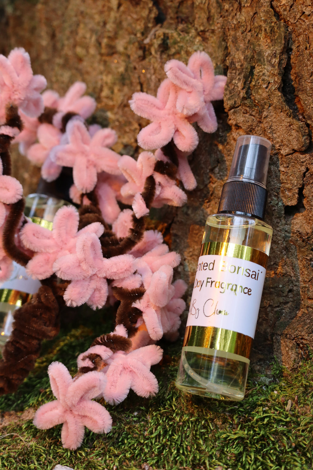 Scented Bonsai Tree Bundle
