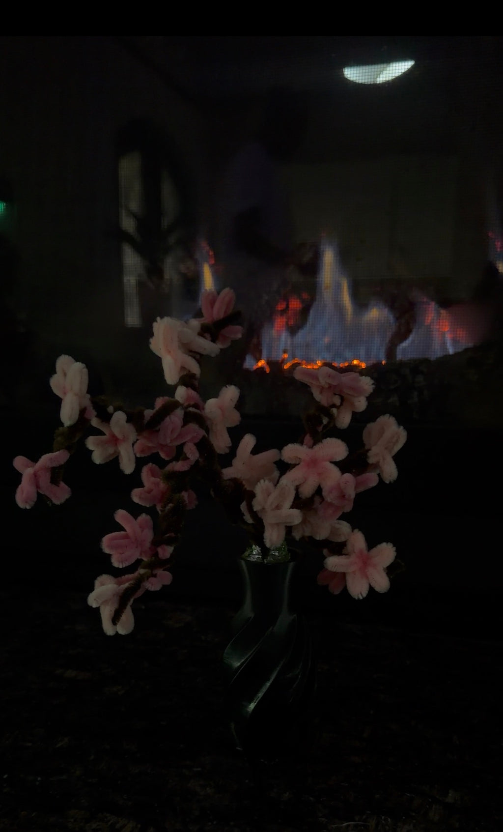 Blossom Bonsai Tree