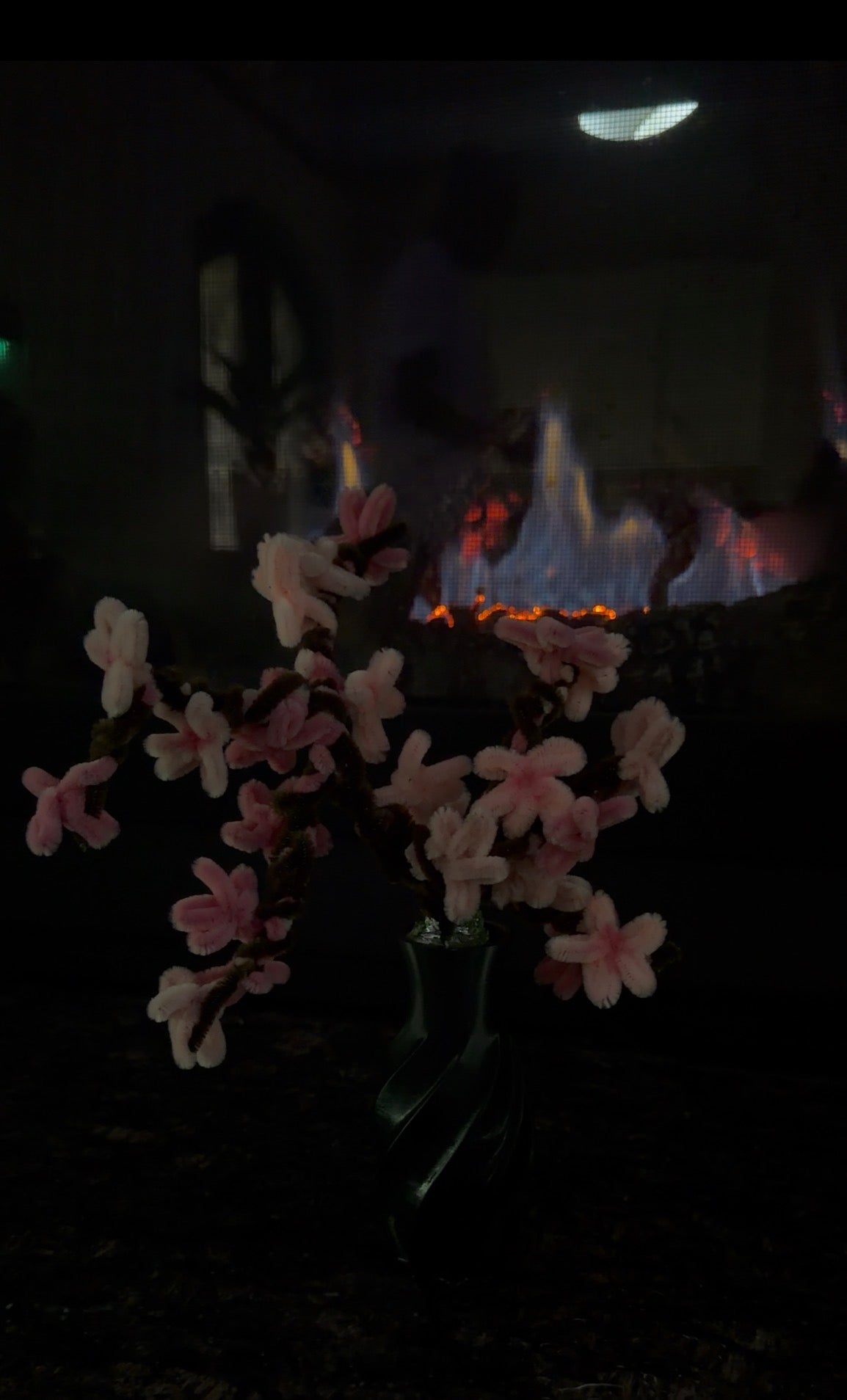 Blossom Bonsai Tree